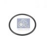 RENAULT 5003065068 Seal Ring